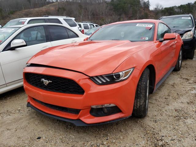 Photo 1 VIN: 1FA6P8TH2G5292243 - FORD MUSTANG 