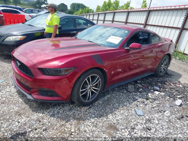 Photo 1 VIN: 1FA6P8TH2G5292713 - FORD MUSTANG 