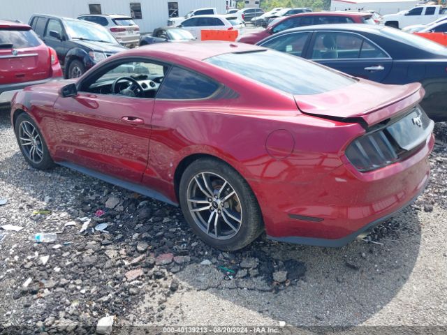 Photo 2 VIN: 1FA6P8TH2G5292713 - FORD MUSTANG 