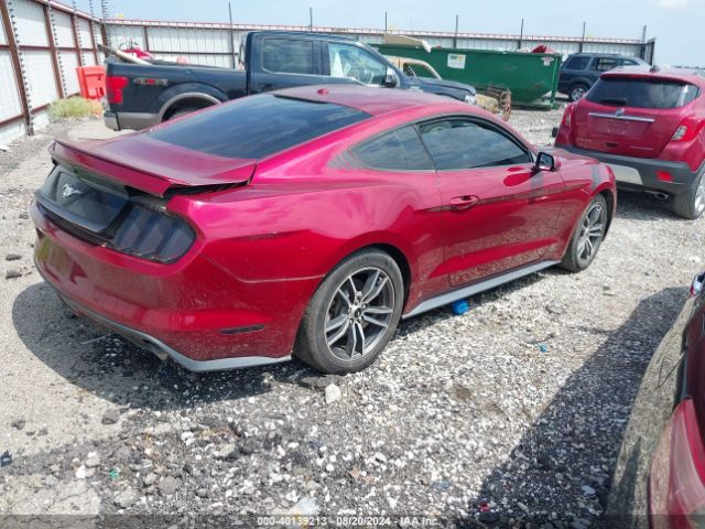 Photo 3 VIN: 1FA6P8TH2G5292713 - FORD MUSTANG 