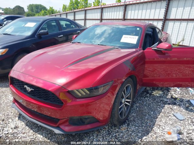 Photo 5 VIN: 1FA6P8TH2G5292713 - FORD MUSTANG 