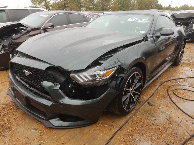 Photo 1 VIN: 1FA6P8TH2G5298978 - FORD MUSTANG 