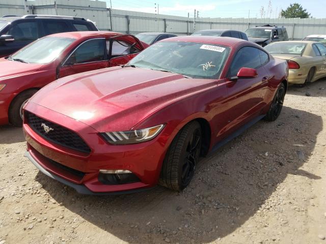 Photo 1 VIN: 1FA6P8TH2G5303385 - FORD MUSTANG 