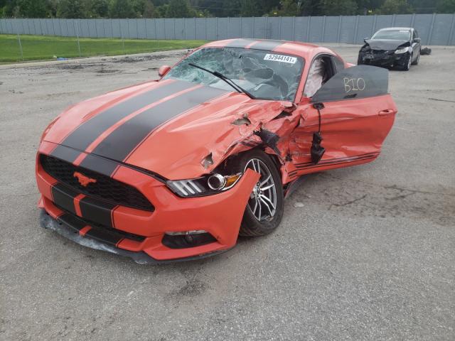 Photo 1 VIN: 1FA6P8TH2G5304973 - FORD MUSTANG 