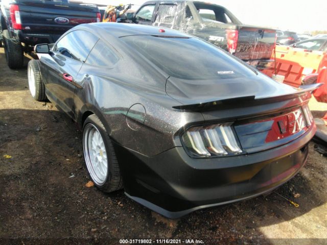 Photo 2 VIN: 1FA6P8TH2H5205362 - FORD MUSTANG 