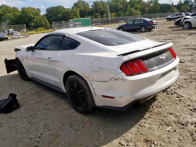 Photo 2 VIN: 1FA6P8TH2H5217530 - FORD MUSTANG 