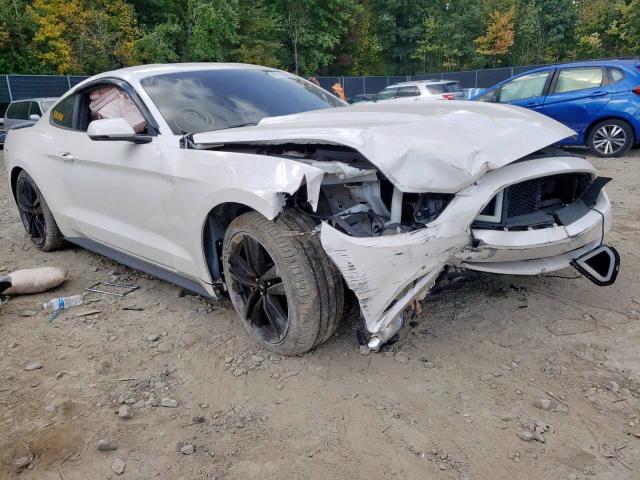 Photo 8 VIN: 1FA6P8TH2H5217530 - FORD MUSTANG 