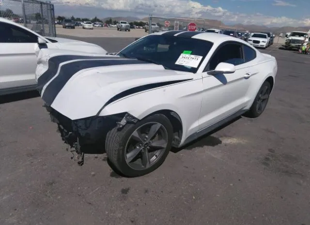 Photo 1 VIN: 1FA6P8TH2H5265786 - FORD MUSTANG 