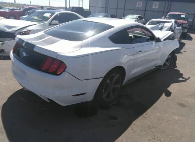 Photo 3 VIN: 1FA6P8TH2H5265786 - FORD MUSTANG 