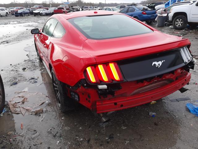 Photo 2 VIN: 1FA6P8TH2H5282362 - FORD MUSTANG 