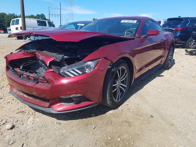 Photo 1 VIN: 1FA6P8TH2H5338798 - FORD MUSTANG 