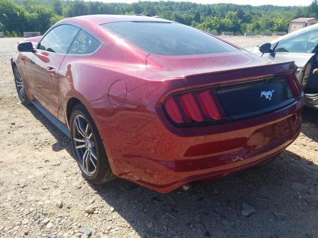 Photo 2 VIN: 1FA6P8TH2H5338798 - FORD MUSTANG 