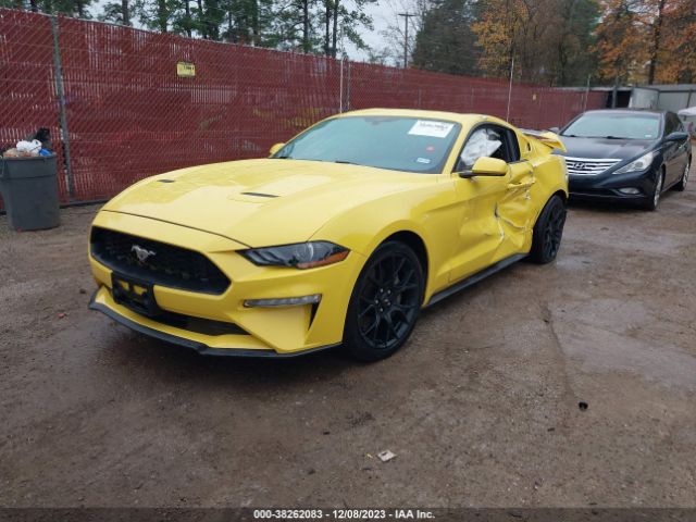 Photo 1 VIN: 1FA6P8TH2J5104022 - FORD MUSTANG 