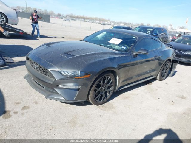 Photo 1 VIN: 1FA6P8TH2J5122228 - FORD MUSTANG 