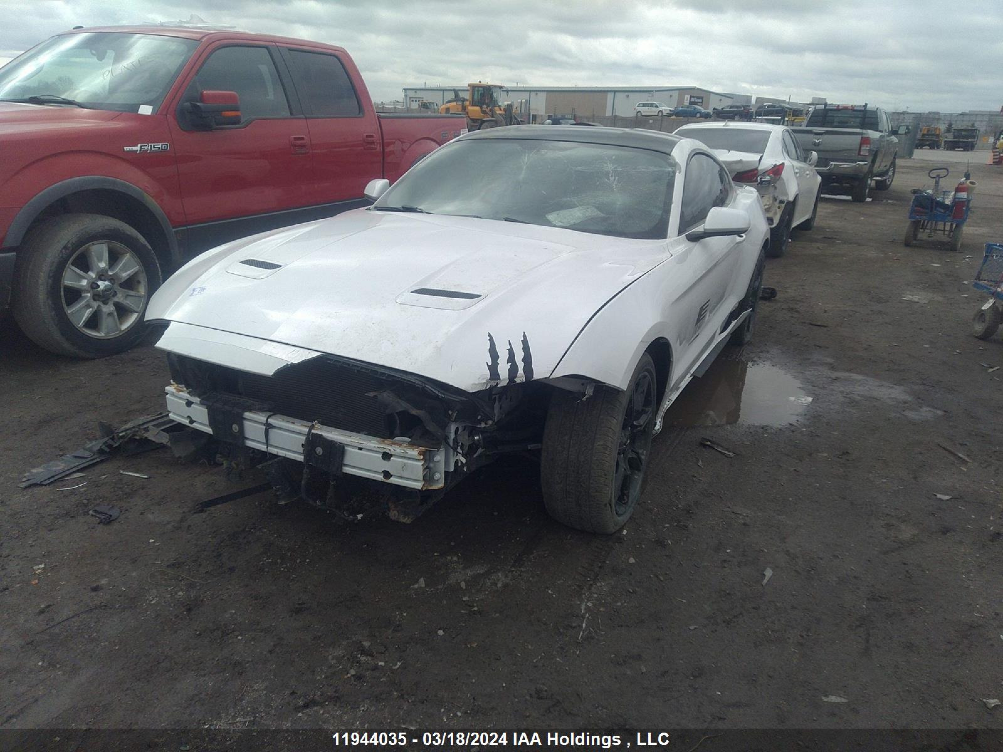 Photo 1 VIN: 1FA6P8TH2J5150756 - FORD MUSTANG 