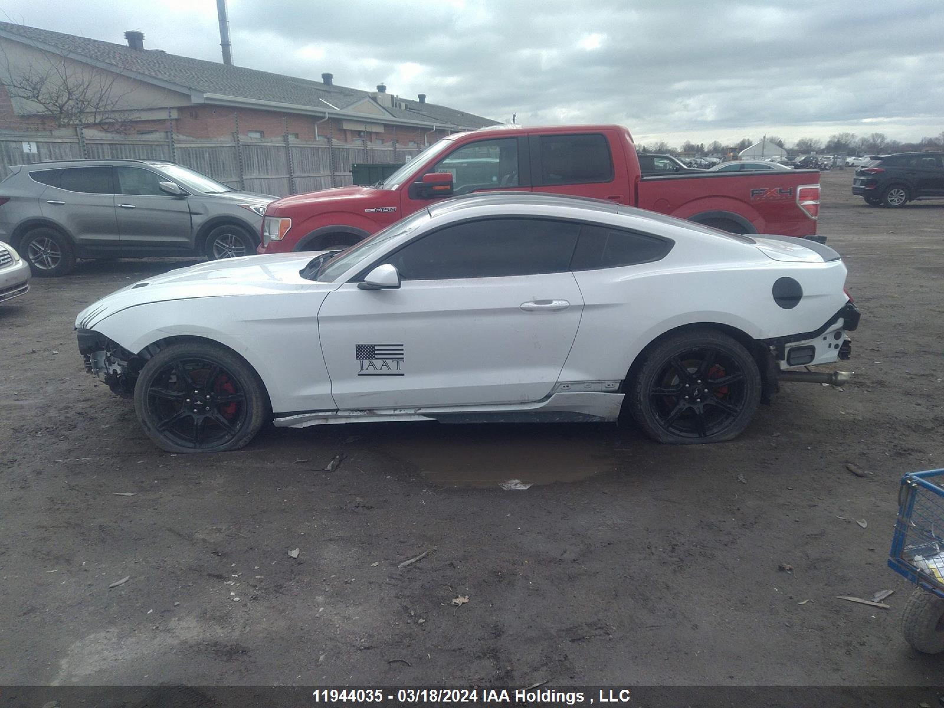 Photo 14 VIN: 1FA6P8TH2J5150756 - FORD MUSTANG 