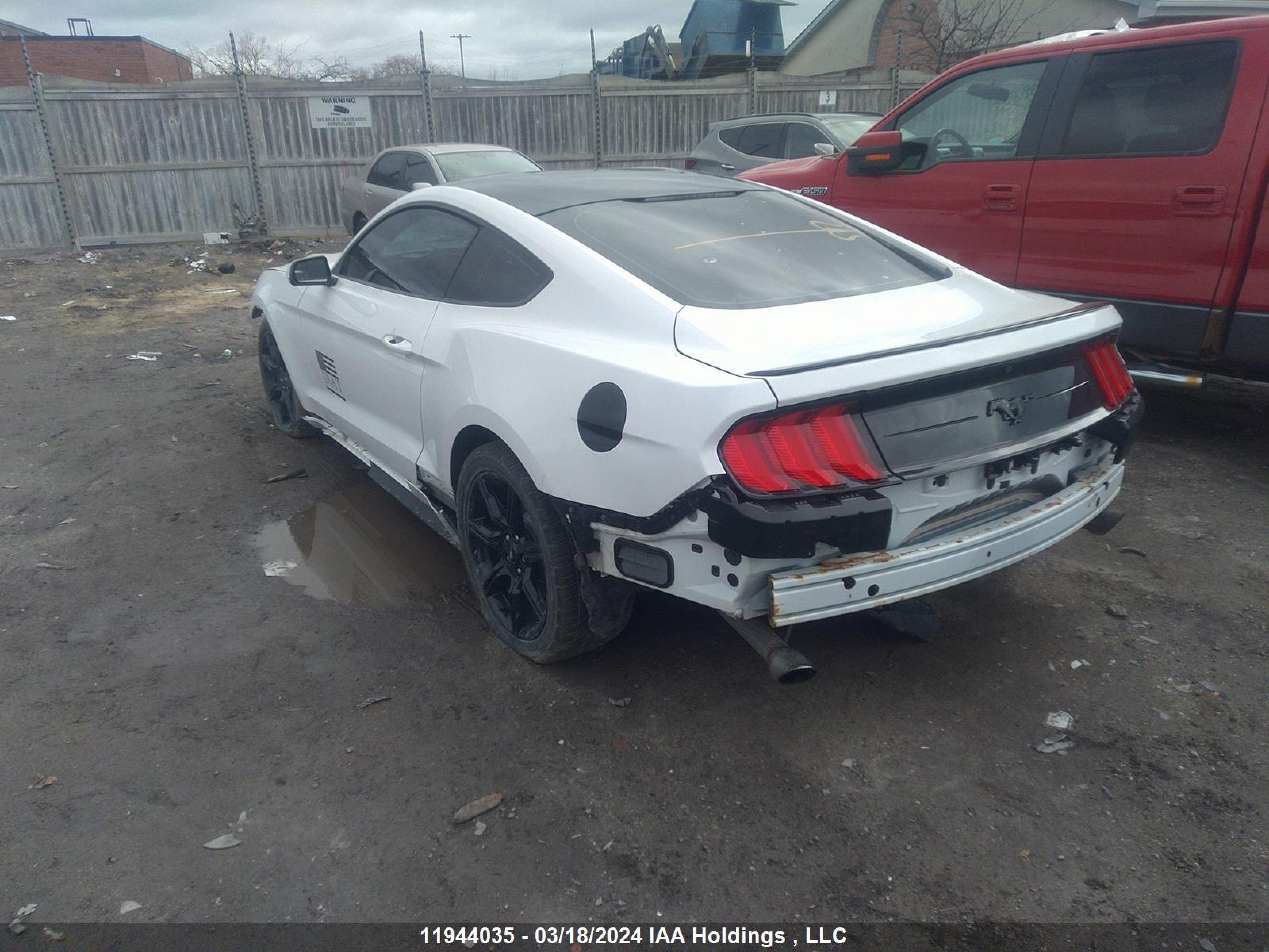 Photo 2 VIN: 1FA6P8TH2J5150756 - FORD MUSTANG 