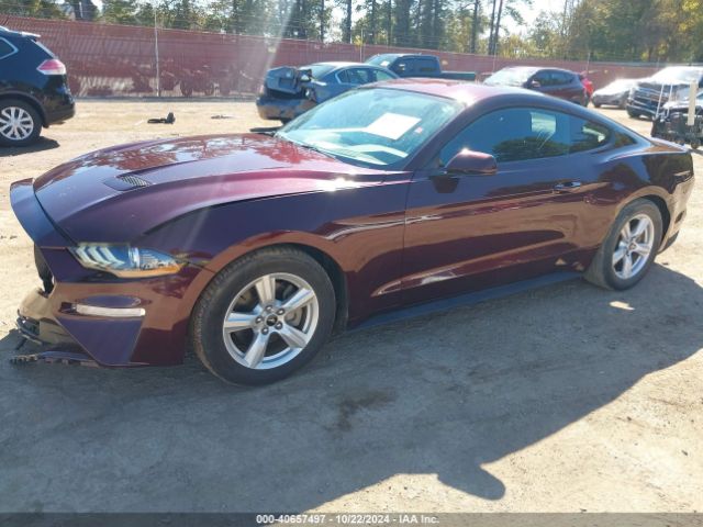 Photo 1 VIN: 1FA6P8TH2J5165709 - FORD MUSTANG 