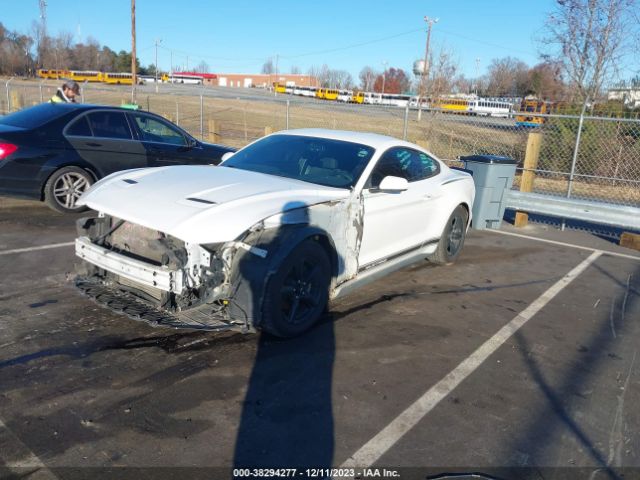 Photo 1 VIN: 1FA6P8TH2J5178718 - FORD MUSTANG 