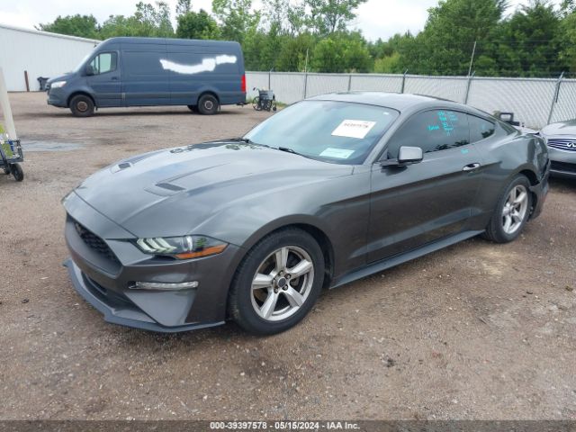 Photo 1 VIN: 1FA6P8TH2J5182915 - FORD MUSTANG 