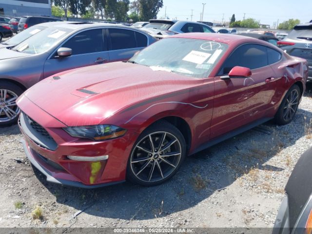 Photo 1 VIN: 1FA6P8TH2J5184924 - FORD MUSTANG 