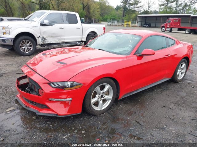 Photo 1 VIN: 1FA6P8TH2K5108556 - FORD MUSTANG 