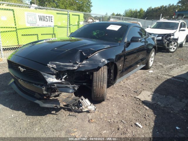 Photo 1 VIN: 1FA6P8TH2K5129701 - FORD MUSTANG 