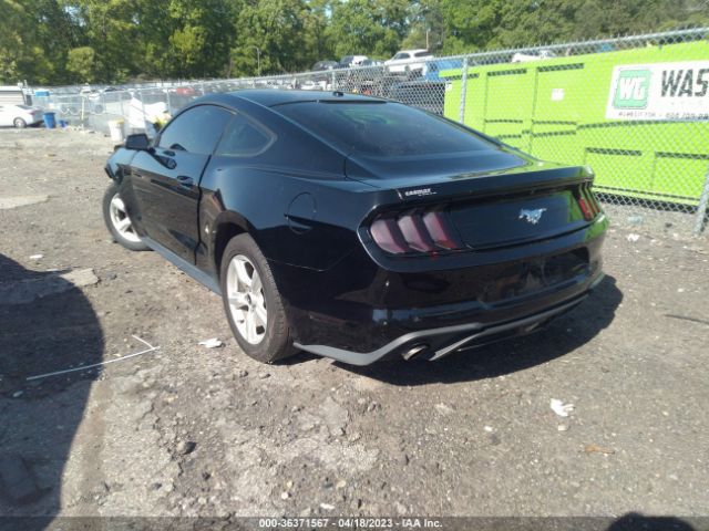 Photo 2 VIN: 1FA6P8TH2K5129701 - FORD MUSTANG 