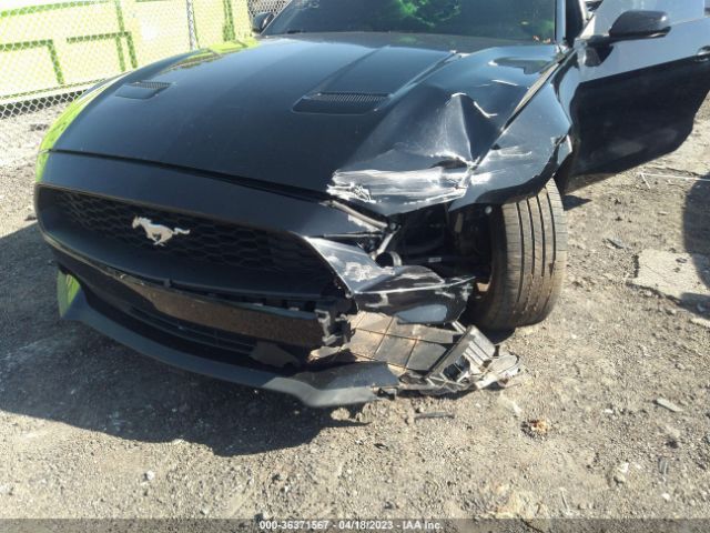 Photo 5 VIN: 1FA6P8TH2K5129701 - FORD MUSTANG 