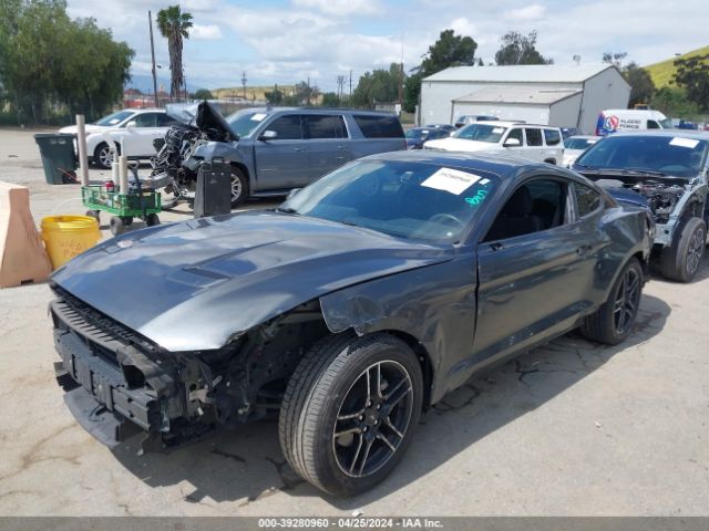 Photo 1 VIN: 1FA6P8TH2K5169213 - FORD MUSTANG 