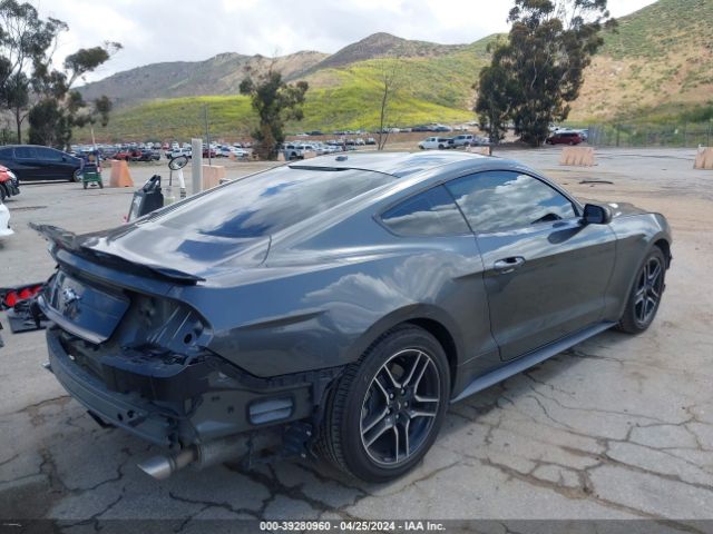 Photo 3 VIN: 1FA6P8TH2K5169213 - FORD MUSTANG 