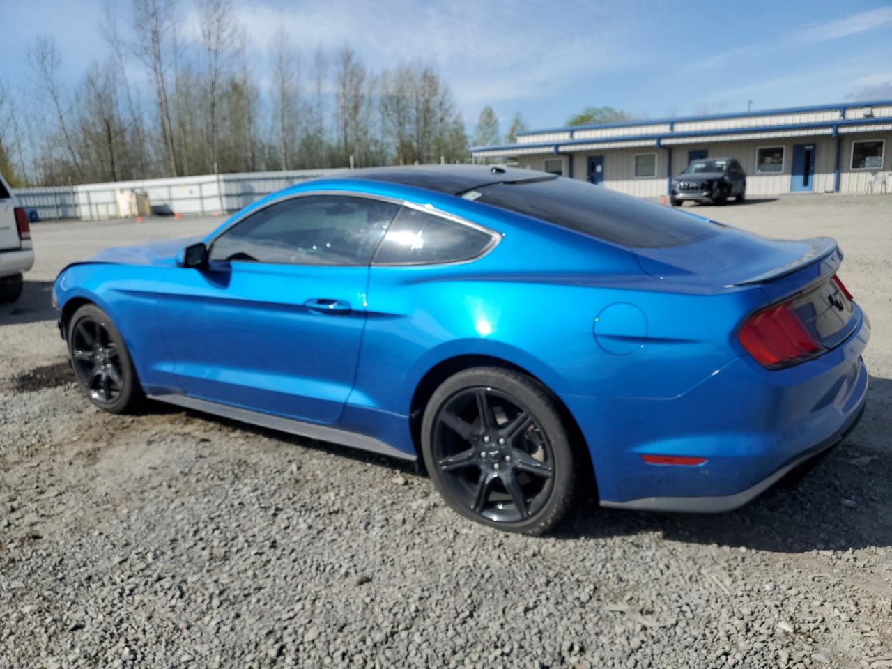 Photo 1 VIN: 1FA6P8TH2K5176842 - FORD MUSTANG 