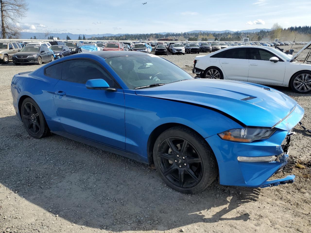 Photo 3 VIN: 1FA6P8TH2K5176842 - FORD MUSTANG 