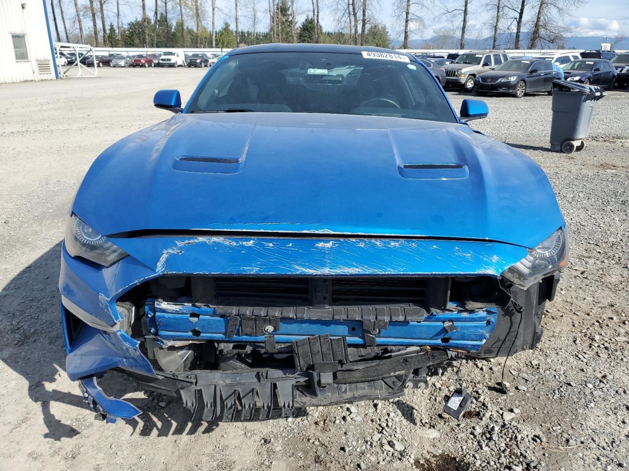 Photo 4 VIN: 1FA6P8TH2K5176842 - FORD MUSTANG 