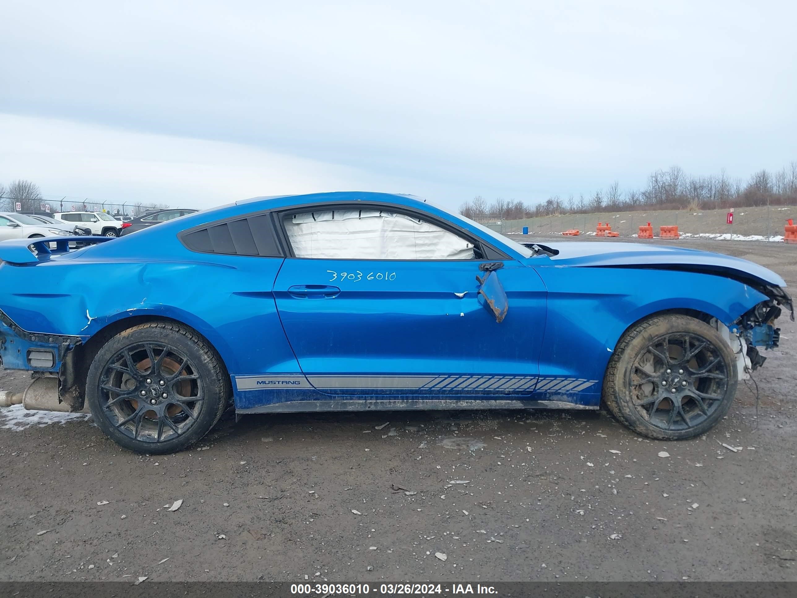 Photo 12 VIN: 1FA6P8TH2K5203084 - FORD MUSTANG 