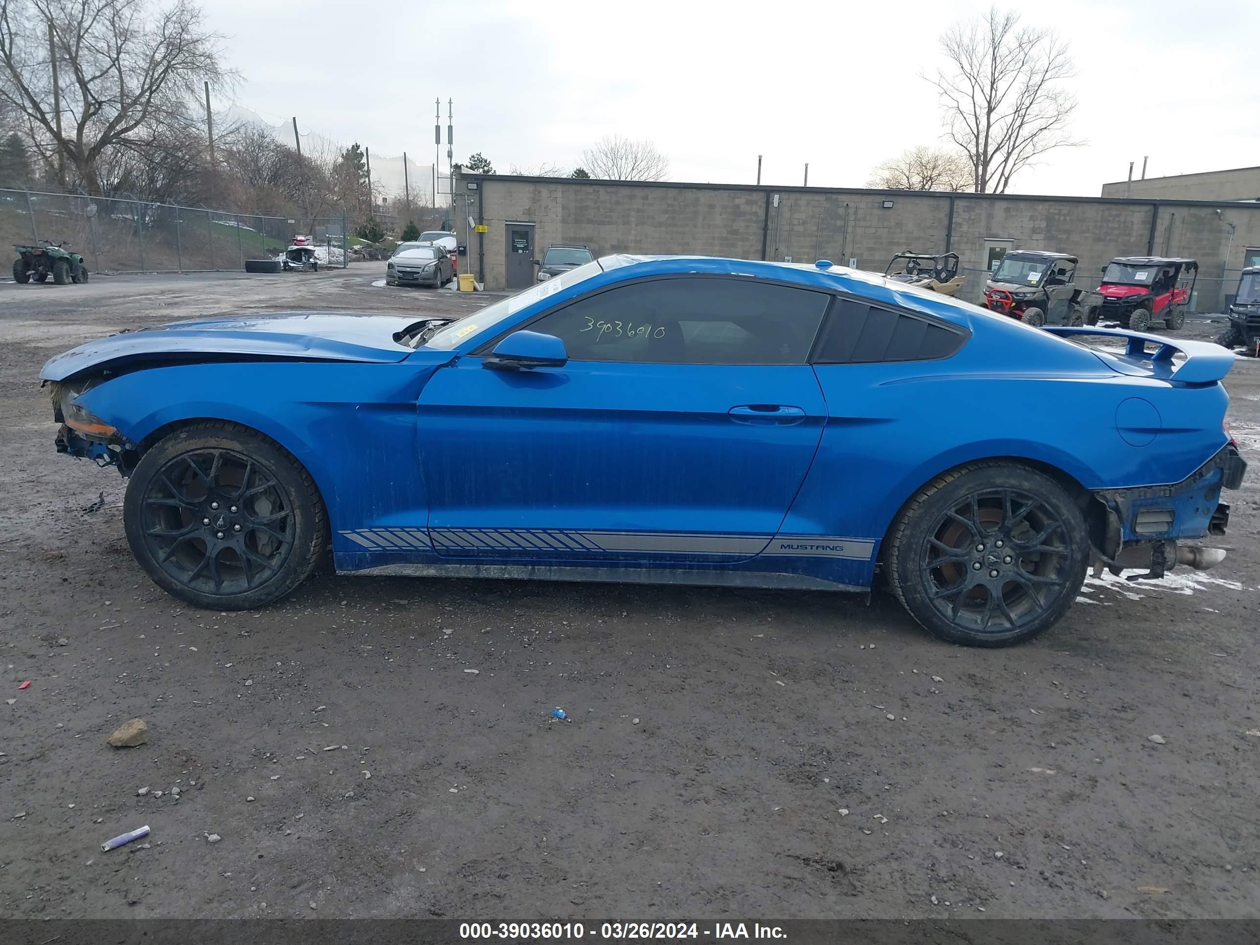 Photo 13 VIN: 1FA6P8TH2K5203084 - FORD MUSTANG 