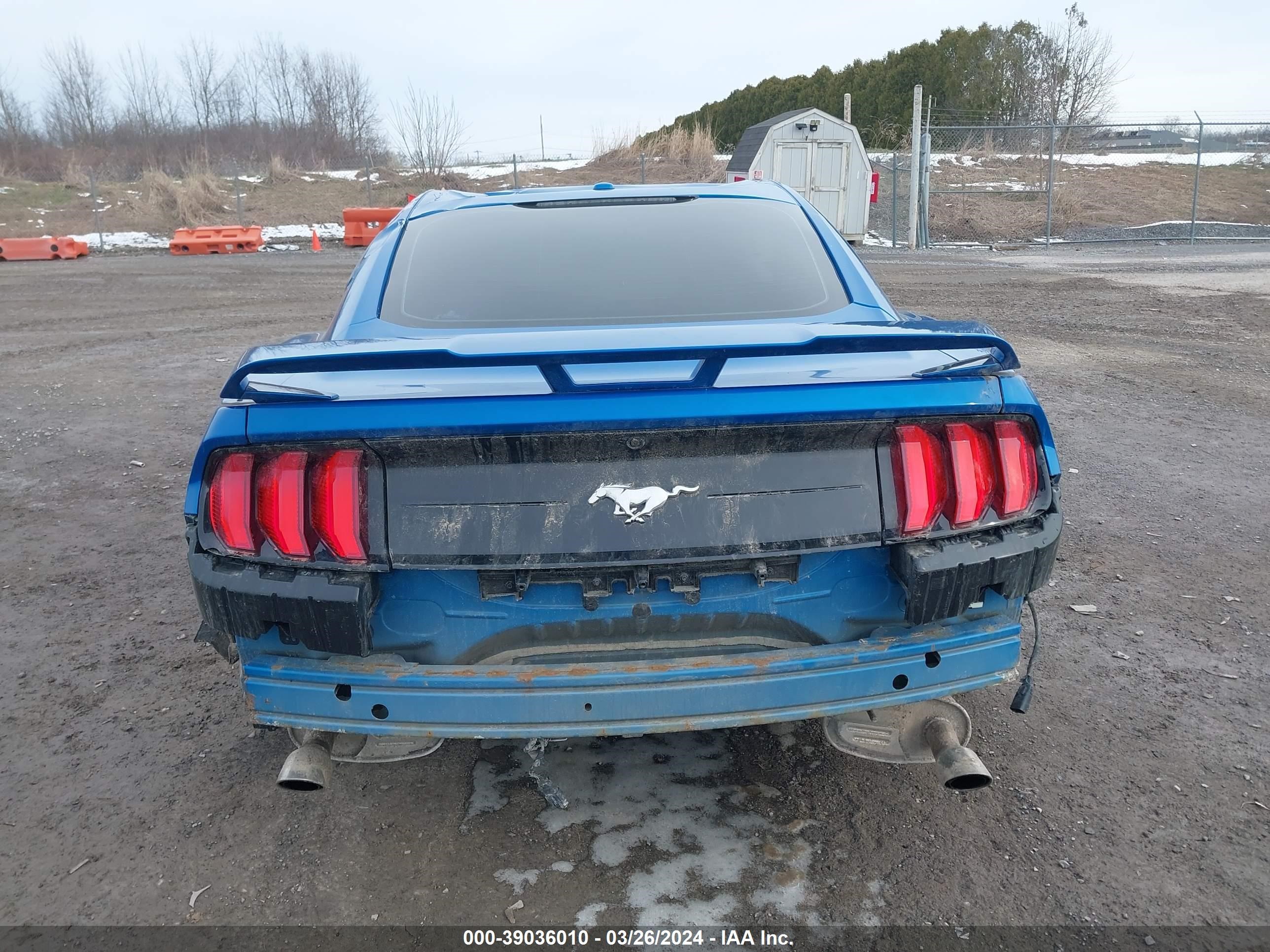 Photo 15 VIN: 1FA6P8TH2K5203084 - FORD MUSTANG 