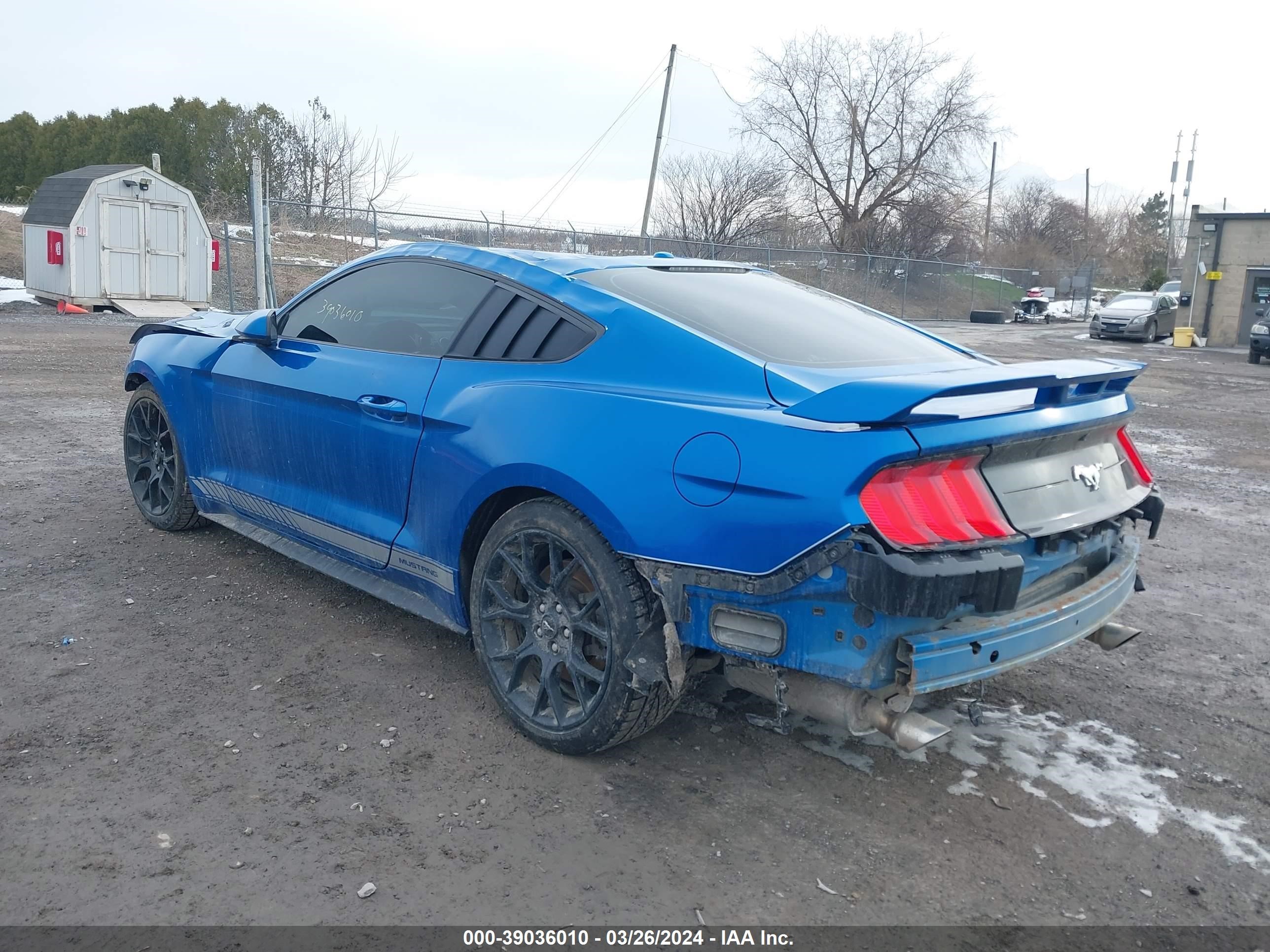 Photo 2 VIN: 1FA6P8TH2K5203084 - FORD MUSTANG 