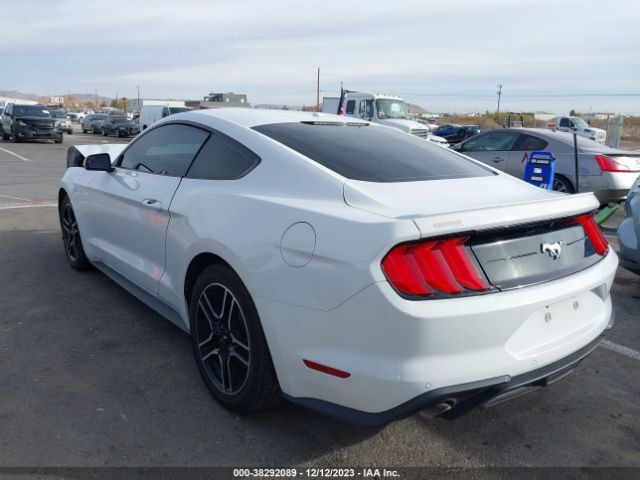 Photo 2 VIN: 1FA6P8TH2L5131983 - FORD MUSTANG 