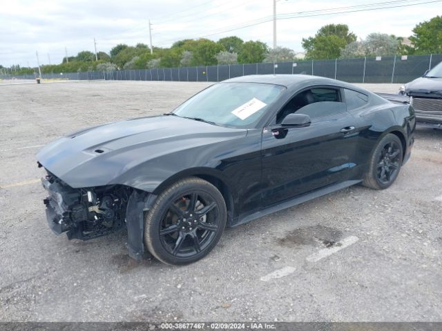 Photo 1 VIN: 1FA6P8TH2L5151733 - FORD MUSTANG 