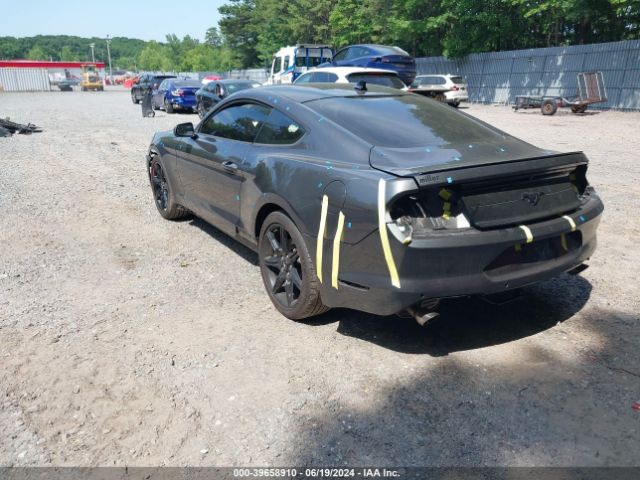 Photo 2 VIN: 1FA6P8TH2L5174347 - FORD MUSTANG 