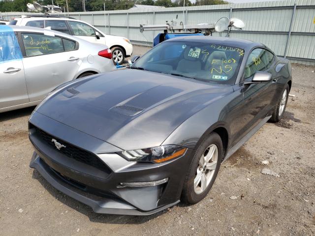 Photo 1 VIN: 1FA6P8TH2L5186658 - FORD MUSTANG 