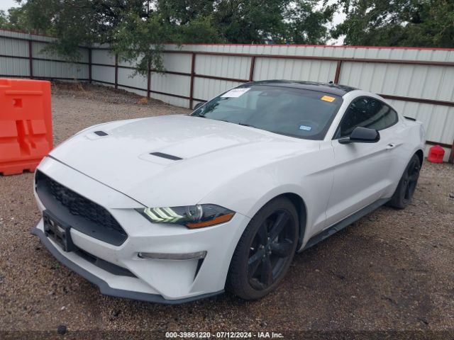 Photo 1 VIN: 1FA6P8TH2M5117664 - FORD MUSTANG 