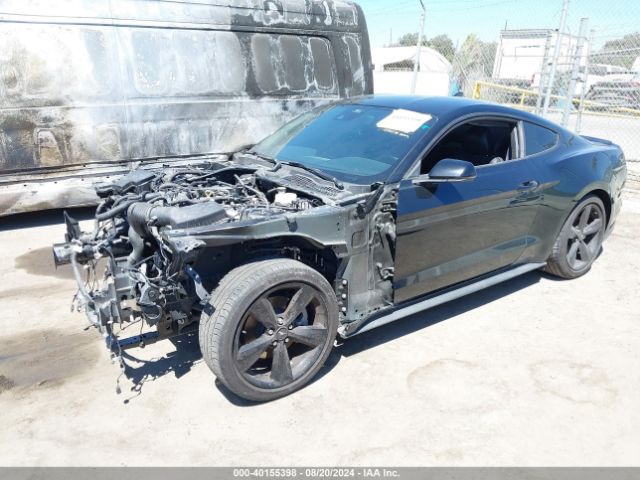 Photo 1 VIN: 1FA6P8TH2M5148915 - FORD MUSTANG 