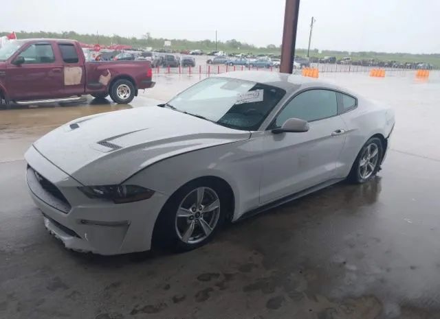 Photo 1 VIN: 1FA6P8TH2M5153712 - FORD MUSTANG 