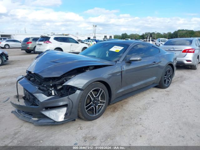 Photo 1 VIN: 1FA6P8TH2P5101694 - FORD MUSTANG 