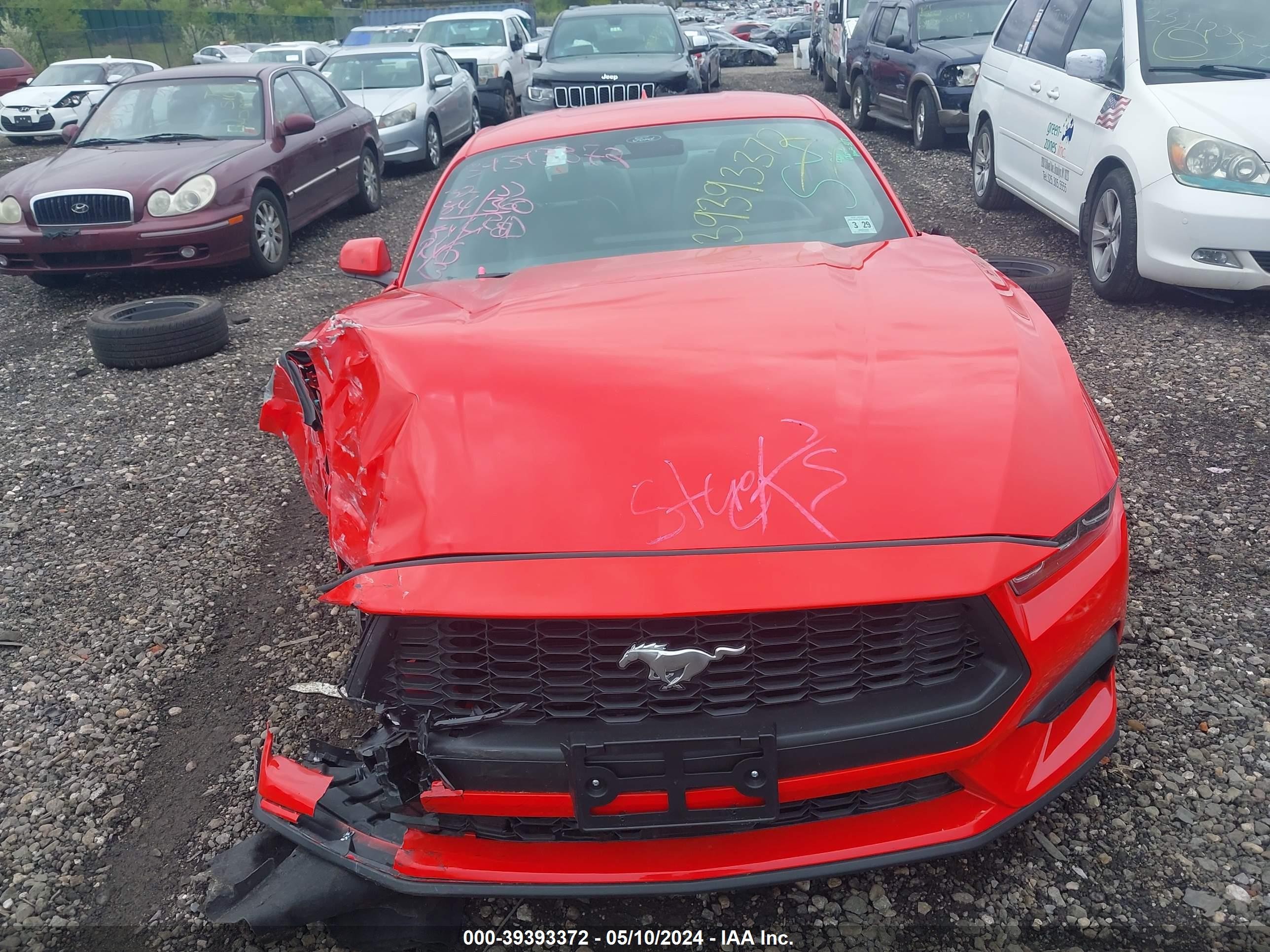 Photo 11 VIN: 1FA6P8TH2R5129742 - FORD MUSTANG 