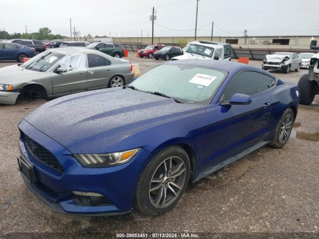 Photo 1 VIN: 1FA6P8TH3F5305788 - FORD MUSTANG 