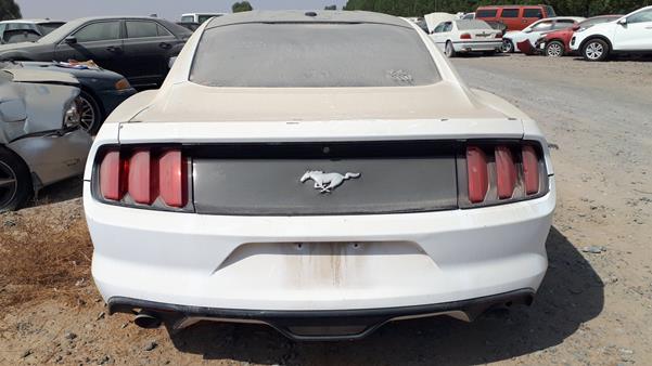 Photo 6 VIN: 1FA6P8TH3F5354215 - FORD MUSTANG 