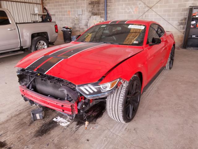 Photo 1 VIN: 1FA6P8TH3F5365800 - FORD MUSTANG 